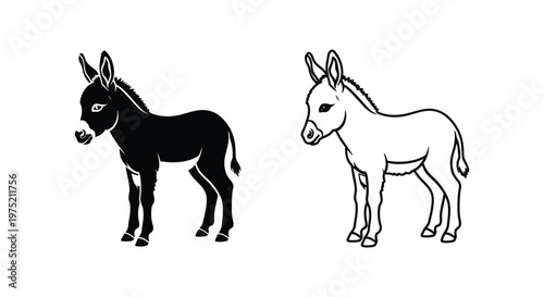 Donkey vs Mule: Key Differences Explained Vector