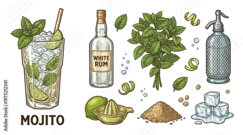 Hand Drawn Mojito Cocktail Ingredients Set with Rum Bottle Mint Lime and Soda Siphon Vector Illustration