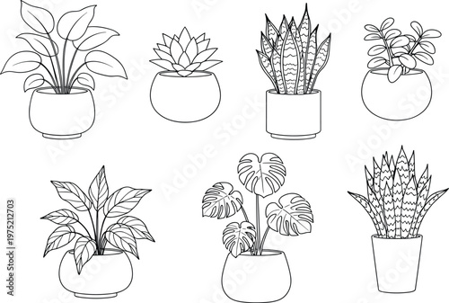 Outline Drawings of Seven Potted Houseplants potted plant