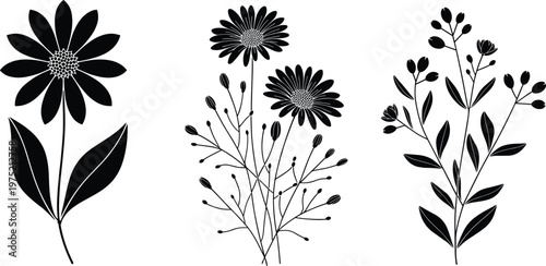 Black Silhouette Floral Illustrations On White Keywords: flower, silhouette, floral