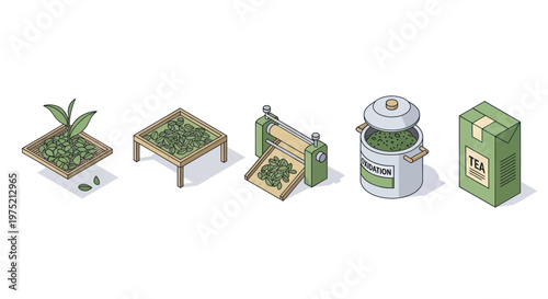 Isometric Tea Production Process from Plant to Packaged Product.