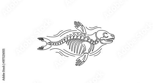 Seal Skeleton Floating in Water, Anatomical Illustration, Marine Life
