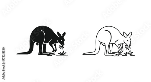 Kangaroo Rat vs Kangaroo: Unique Marsupial Design Vector
