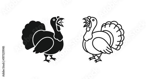 Turkey Illustrations: Male and Female Guide Vector