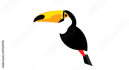 Toucan Bird With Yellow Beak.
