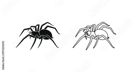 Black Widow vs Tarantula Spider Comparison Guide Vector