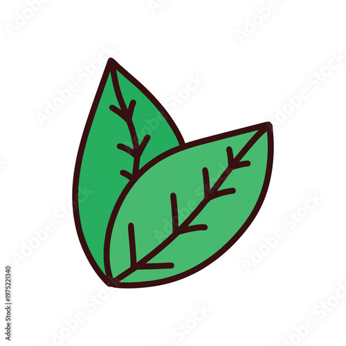 Fresh Green Leaves Illustration