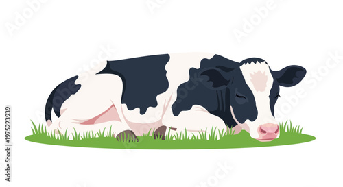 Black and white cow resting peacefully on green grass, illustration