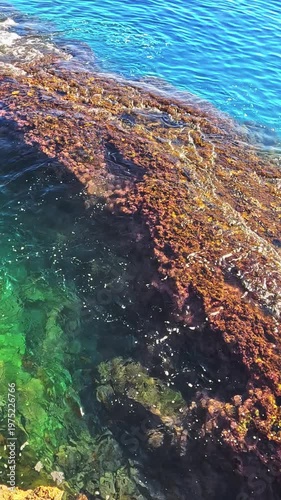 Clear sea waves over coral rocks