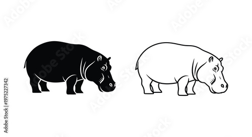 Hippopotamus Types: Black vs White Hippo Guide Vector