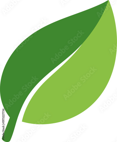 Eco-Symbol: A vibrant green leaf, a potent emblem of nature and sustainability, symbolizes growth, renewal, and environmental consciousness.