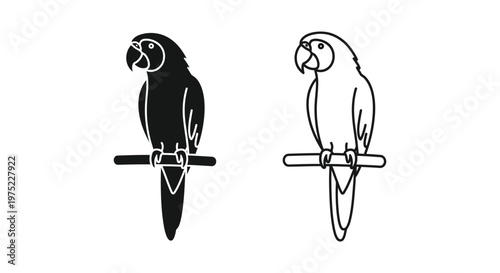 Parrot Perched Vector Art Designs Vector