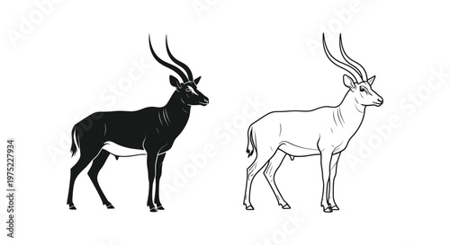 Antelope Species Comparison: Horned Animals Guide Vector