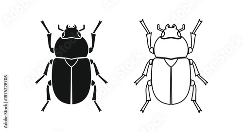 Beetle Identification Guide: Key Differences Vector