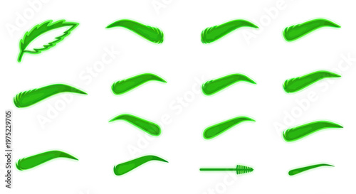 Green Eyebrow Brush Strokes and Feather Shape on White Background
