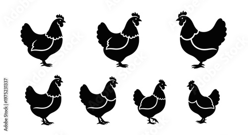 Chicken Silhouette Collection: Farm Animal Icons for Design