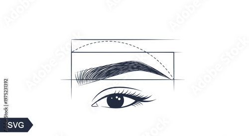 Eyebrow Shaping Guide: Illustration of Perfect Arch and Symmetry