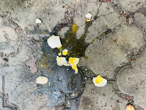 Obraz na plátne A smashed egg with yellow yolk and white shell on a textured stone pavement, attracting small ants