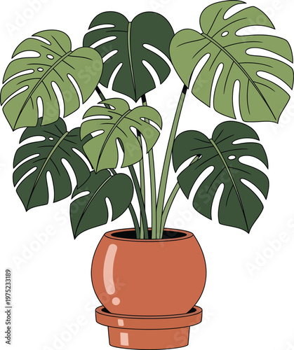 Monstera deliciosa plant in terracotta pot with glossy leaves in flat illustration for home decor on transparent background