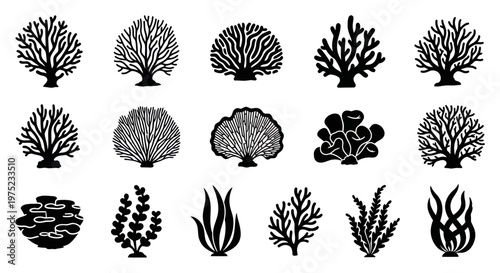 Set of diverse coral reef icons, black and white silhouette illustrations