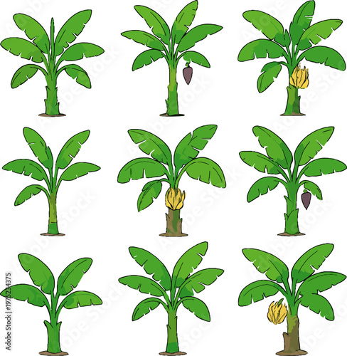 Cartoon banana trees with green leaves and fruit