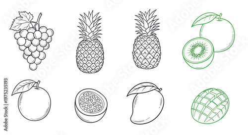 Hand-drawn Fresh Fruit Collection: Grapes, Pineapple, Orange, Kiwi, Mango, Passionfruit