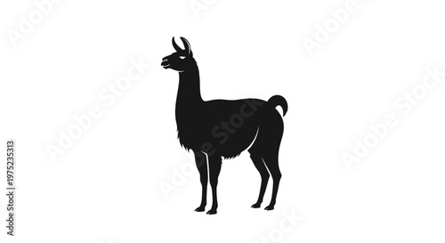 Black Silhouette of a Llama Standing on White Background