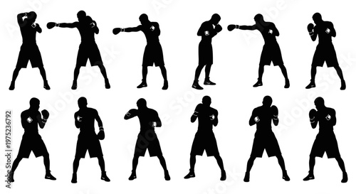 Boxing Silhouette Collection: Fighter Poses and Training Movements