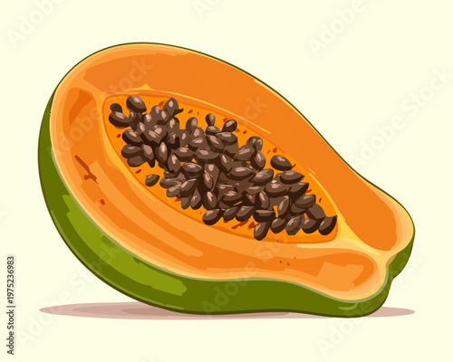 Ripe papaya half with black seeds inside showing vibrant orange color and sweet tropical taste for healthy snacking - Vector Illustration