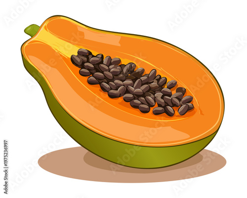 Fresh cut papaya fruit showing seeds and vibrant orange flesh for tropical theme and healthy lifestyle dietary choices - Vector Illustration