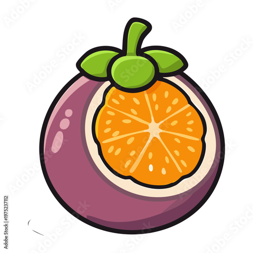 Mangosteen fruit half showing internal orange structure for tropical exotic theme and healthy organic food design ideas - Vector Illustration