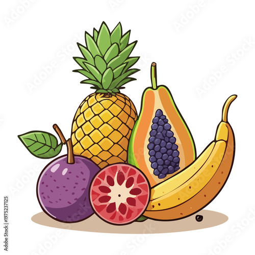 Pineapple banana and pomegranate for exotic tropical fruit mix and healthy organic juice blend ingredients for summer - Vector Illustration