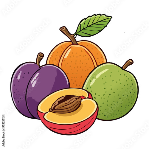 Plum peach and green apple group for summer fruit harvest and healthy organic snack for balanced daily diet - Vector Illustration