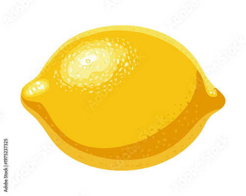 Fresh lemon for citrus theme and healthy organic vitamin C rich juice ingredient for refreshing summer drinks - Vector Illustration