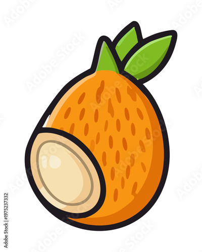 Exotic orange fruit for tropical theme and healthy organic snack choices for refreshing summer lifestyle and wellness - Vector Illustration