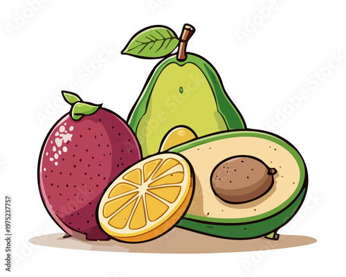 Passion fruit and avocado for exotic tropical snack and healthy organic nutrition for summer wellness lifestyle choices - Vector Illustration