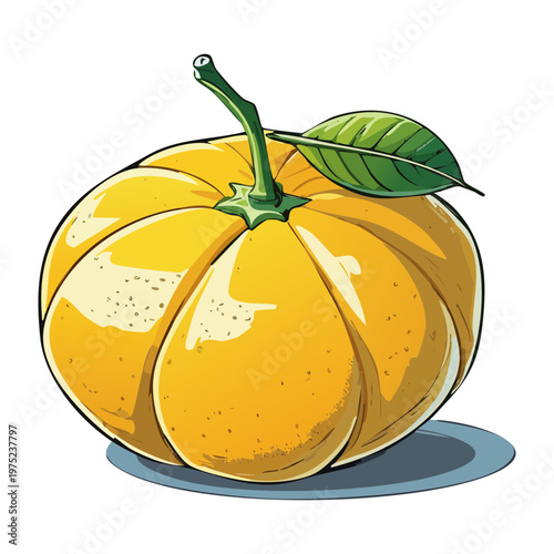 Yellow citrus fruit for healthy organic vitamin C rich snack and refreshing summer juice ingredient for wellness - Vector Illustration