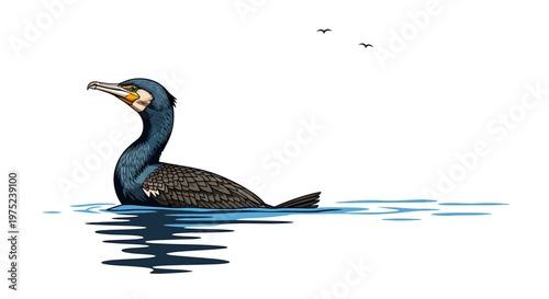 Cormorant Bird Swimming in Water Vector Illustration
