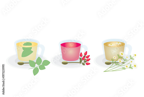 ミント、ローズヒップ、カモミールのホットハーブティーのセット