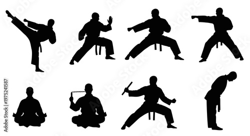 Martial Arts Practitioners Black Vector Silhouettes: Karate Poses, Nunchaku, Meditation
