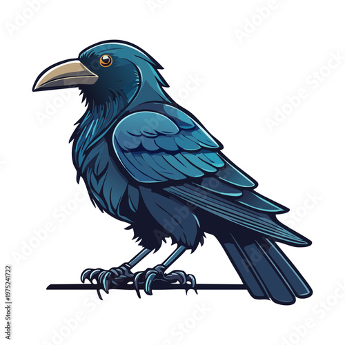 Black crow standing on the ground with detailed feathers for dark nature designs and mysterious wildlife illustrations and professional animal branding and logo design
