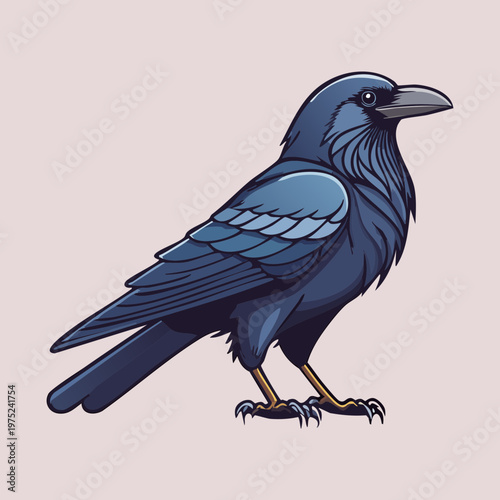 Black raven standing on the ground with a sharp beak for intelligent nature designs and mysterious wildlife illustrations and professional animal graphic design and art
