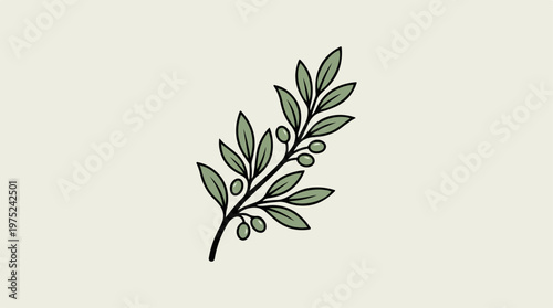 Olive branch with leaves.