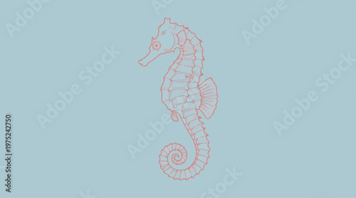 Pink Seahorse Ocean Creature Illustration.