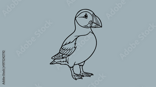 Puffin Bird Animal Illustration.