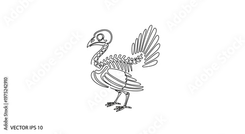 Turkey Skeleton Line Art: Thanksgiving, Halloween, Anatomy, Bird Bones, Vector Illustration