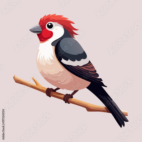 small bird with a red head and striped wings perching on a branch looking sideways with a sharp beak and alert posture