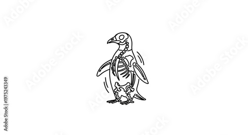 Penguin Skeleton Illustration