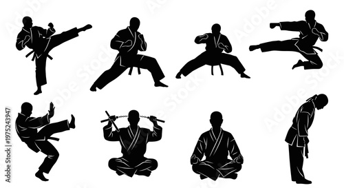 Martial Arts Silhouettes Set with Karate Poses, Kicks, Nunchaku - Black  White Glyph Icons