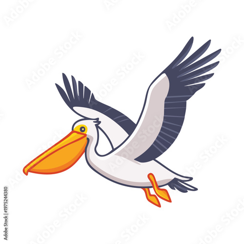 pelican bird standing for coastal nature park logos and seaside wildlife conservation awareness and educational materials about marine life and aquatic birds for schools
